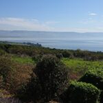 Muzyczne podróże. Ziemia Święta / Kamil Król