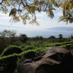 Muzyczne podróże. Ziemia Święta / Kamil Król