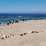 Muzyczne podróże. Ziemia Święta. Cezarea Nadmorska / Kamil Król