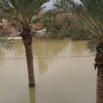 Muzyczne podróże. Ziemia Święta. Jordan / Kamil Król