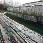 24.04.2020. Wąchock. Gospodarstwo ojców cystersów / Anna Głąb / Radio Kielce