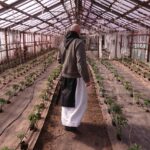 24.04.2020. Wąchock. Gospodarstwo ojców cystersów / Anna Głąb / Radio Kielce