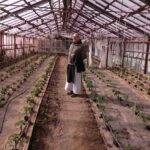 24.04.2020. Wąchock. Gospodarstwo ojców cystersów. Na zdjęciu ojciec Tymoteusz / Anna Głąb / Radio Kielce