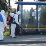 01.04.2020. Jędrzejów. Dezynfekcja wiat przystankowych / Ewa Pociejowska-Gawęda / Radio Kielce