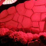 10.04.2020 Jędrzejów. Grób Pański w klasztorze cystersów / Ewa Pociejowska-Gawęda / Radio Kielce