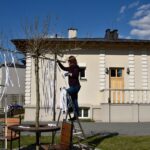 Instalacja „Słowiańskie drzewo życzeń” / BWA Kielce