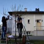 Instalacja „Słowiańskie drzewo życzeń” / BWA Kielce