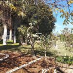 Muzyczne podróże. Ziemia Święta. Góra Błogosławieństw / ks. Mariusz Rozin