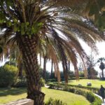 Muzyczne podróże. Ziemia Święta. Góra Błogosławieństw / ks. Mariusz Rozin