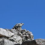 Muzyczne podróże. Jukatan / Małgorzata Anna Jóźwiak i Marek Jóźwiak