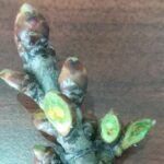 Grażyna Szlęzak-Wójcik / Radio Kielce