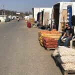 Sandomierz. Giełda rolna / Fot. Grażyna Szlęzak - Radio Kielce