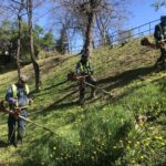 30.04.2020. Sandomierz. Koszenie traw / Grażyna Szlęzak-Wójcik / Radio Kielce