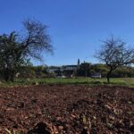 24.04.2020. Kielce. Spacer wokół Karczówki / Wiktor Taszłow / Radio Kielce