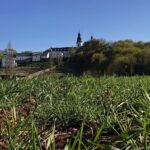 24.04.2020. Kielce. Spacer wokół Karczówki / Wiktor Taszłow / Radio Kielce