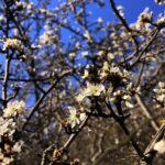 24.04.2020. Kielce. Spacer wokół Karczówki / Wiktor Taszłow / Radio Kielce