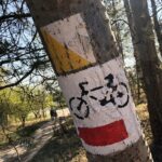 24.04.2020. Kielce. Spacer wokół Karczówki / Wiktor Taszłow / Radio Kielce