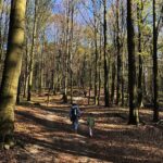 24.04.2020. Kielce. Spacer wokół Karczówki / Wiktor Taszłow / Radio Kielce