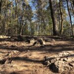 24.04.2020. Kielce. Spacer wokół Karczówki / Wiktor Taszłow / Radio Kielce