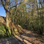 24.04.2020. Kielce. Spacer wokół Karczówki / Wiktor Taszłow / Radio Kielce