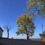 24.04.2020. Kielce. Spacer wokół Karczówki / Wiktor Taszłow / Radio Kielce