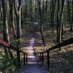 24.04.2020. Kielce. Spacer wokół Karczówki / Wiktor Taszłow / Radio Kielce