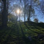 24.04.2020. Kielce. Spacer wokół Karczówki / Wiktor Taszłow / Radio Kielce