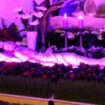 10.04.2020 Topola. Grób Pański w parafii Wniebowzięcia NMP / Marta Gajda / Radio Kielce