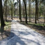 18.04.2020. Busko-Zdrój. Renowacja zabytkowego Parku Zdrojowego w Busku-Zdroju / Marta Gajda / Radio Kielce