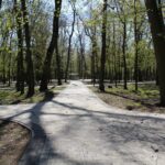 18.04.2020. Busko-Zdrój. Renowacja zabytkowego Parku Zdrojowego w Busku-Zdroju / Marta Gajda / Radio Kielce