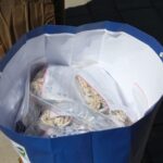 27.04.2020. Busko-Zdrój. Pomoc dla domów pomocy społecznej / Marta Gajda