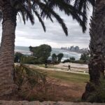 Muzyczne podróże. Ziemia Święta. Jaffa / ks. Mariusz Rozin