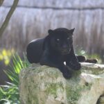 Muzyczne podróże. Jukatan / Małgorzata Anna Jóźwiak i Marek Jóźwiak