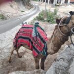 Muzyczne podróże. Ziemia Święta. Jerycho / ks. Mariusz Rozin