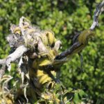 Muzyczne podróże. Jukatan / Małgorzata Anna Jóźwiak i Marek Jóźwiak