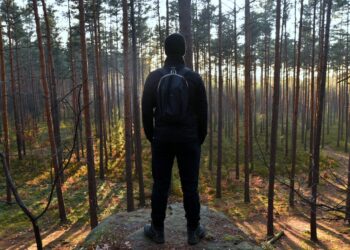 04.04.2020. Zakaz wstępu do lasu / Nadleśnictwo Stąporków