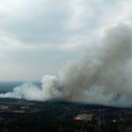 09.04.2020 Gmina Gowarczów. Pożar lasu / Michał Zapała