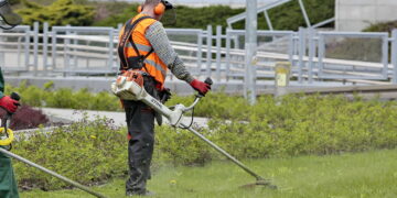 Kielce wstrzymują koszenie trawników z powodu fali upałów