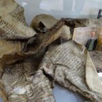 25.04.2020. Opatów. Dom Muzealny. Wystawa „500-lecie osadnictwa żydowskiego na ziemi opatowskiej” / Emilia Sitarska / Radio Kielce