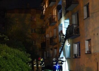 Bielsko-Biała. Kot zatrzasnął ludzi na balkonie / bielskie.info