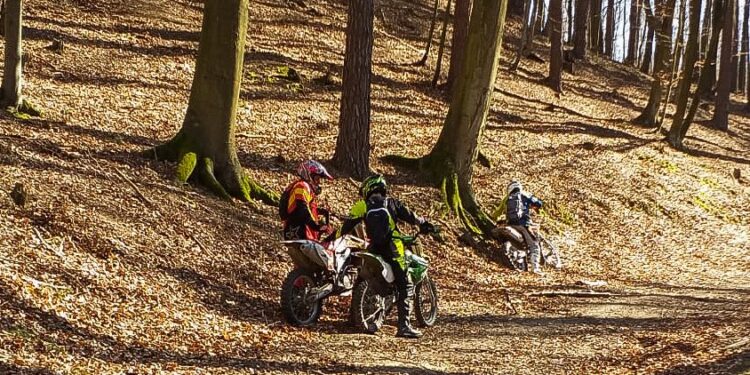 Zatrzymani motocykliści / Nadleśnictwo Elbląg