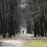 20.04.2020. Kielce. Parki i lasy pełne spacerowiczów, rowerzystów i biegaczy / Wiktor Taszłow / Radio Kielce