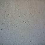 21.04.2020. Sitkówka-Nowiny. Schronisko i osiedle socjalne / Wiktor Taszłow / Radio Kielce