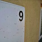 21.04.2020. Sitkówka-Nowiny. Schronisko i osiedle socjalne / Wiktor Taszłow / Radio Kielce