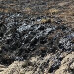 21.04.2020. Sitkówka-Nowiny. Składowisko odpadów / Wiktor Taszłow / Radio Kielce