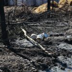 21.04.2020. Sitkówka-Nowiny. Składowisko odpadów / Wiktor Taszłow / Radio Kielce