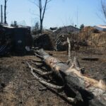 21.04.2020. Sitkówka-Nowiny. Składowisko odpadów / Wiktor Taszłow / Radio Kielce