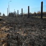 21.04.2020. Sitkówka-Nowiny. Składowisko odpadów / Wiktor Taszłow / Radio Kielce