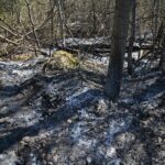 21.04.2020. Sitkówka-Nowiny. Składowisko odpadów / Wiktor Taszłow / Radio Kielce