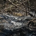 21.04.2020. Sitkówka-Nowiny. Składowisko odpadów / Wiktor Taszłow / Radio Kielce